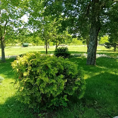 Casa de hóspedes Véndektanya 3*